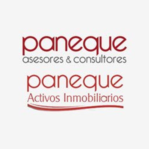 Paneque Asesores y Consultores